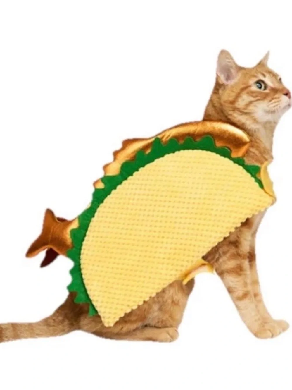 Fish Taco Pet Costume (Two)